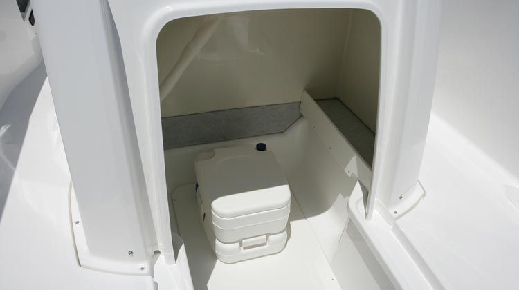 Spacious console compartment with adequate room to fit even a chemical toilet